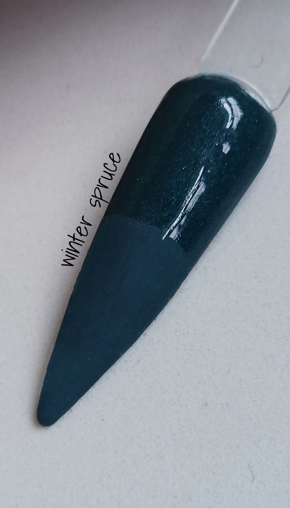 Winter Spruce