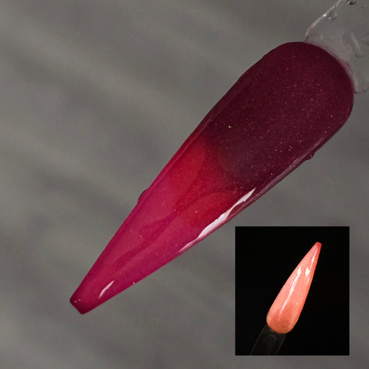 Extras - Mystery Box